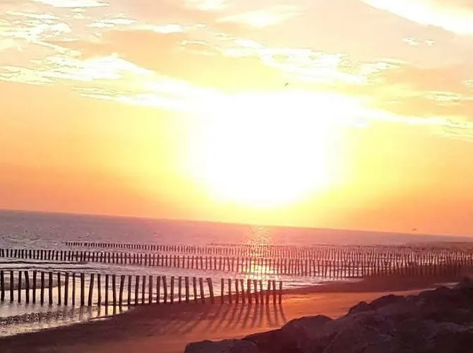 Le Bélouga Appartement *